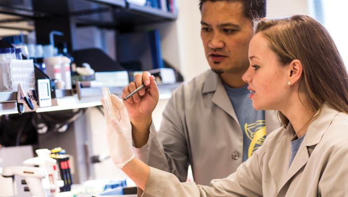 Carly Crump and Rhoel Dinglasan examine a petri dish in the lab.