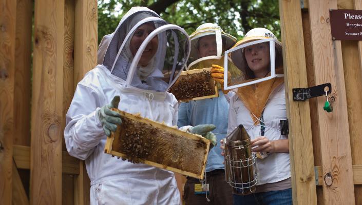 Sarah Khasawinah, Katherine Reiter in beekeeping gear, holding honeycombs