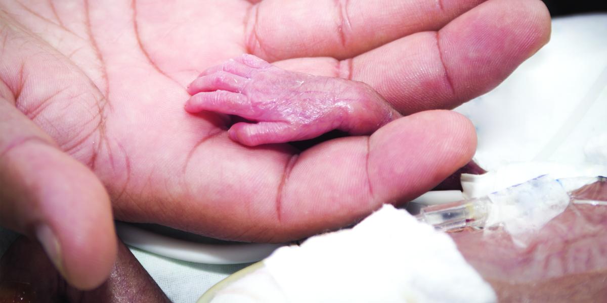 a tiny baby's hand rest in an adult's hand
