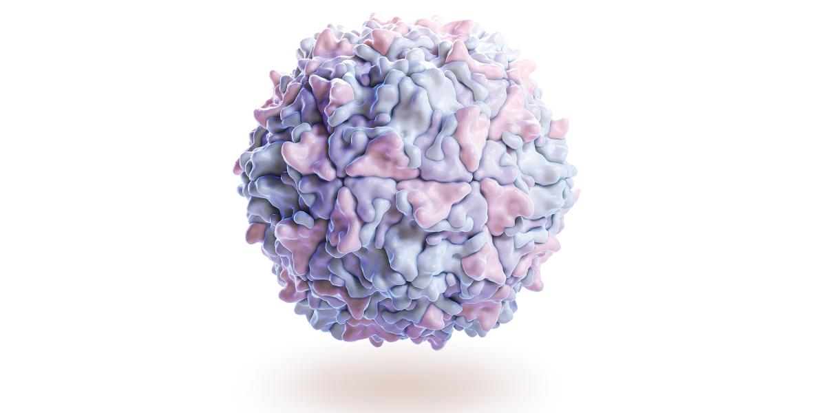 illustration of a poliovirus
