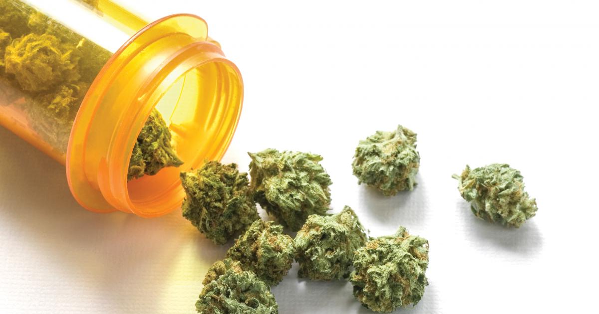 Open Source: Could Medical Marijuana Help Address the Opioid Epidemic? |  Hopkins Bloomberg Public Health Magazine