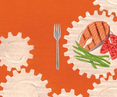 illustration of different food groups on gears