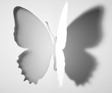 An illustration of a white butterfly and its shadow.