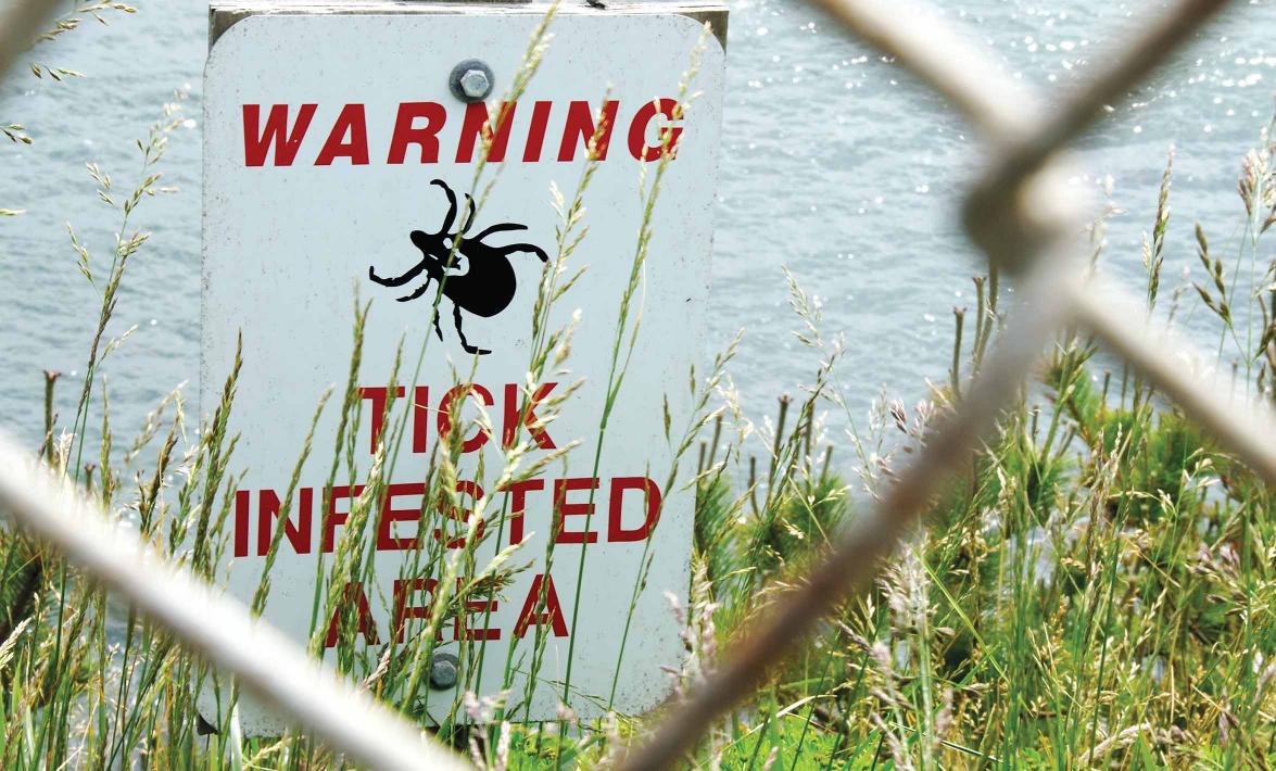 tick infested area sign